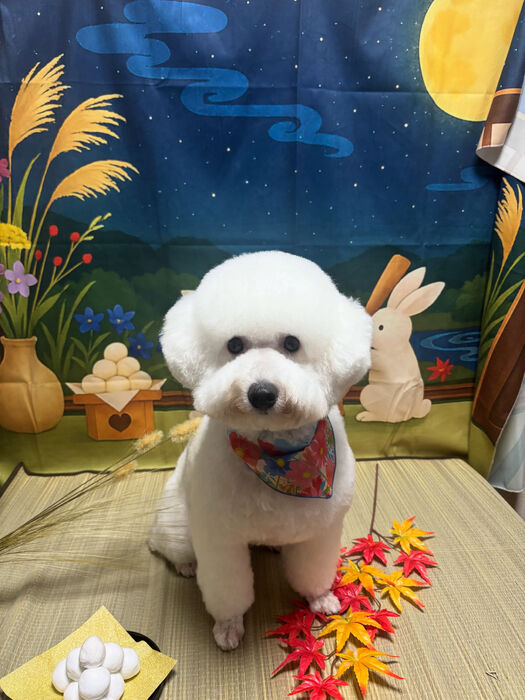 ブログ画像