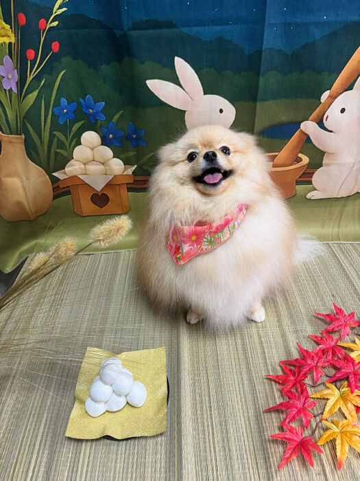 ブログ画像