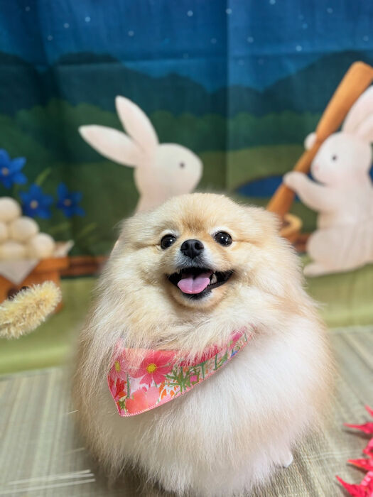 ブログ画像