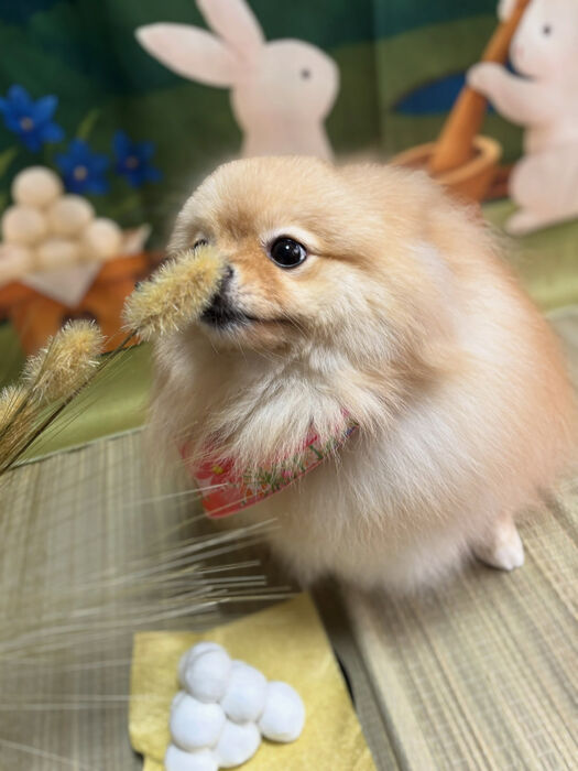 ブログ画像