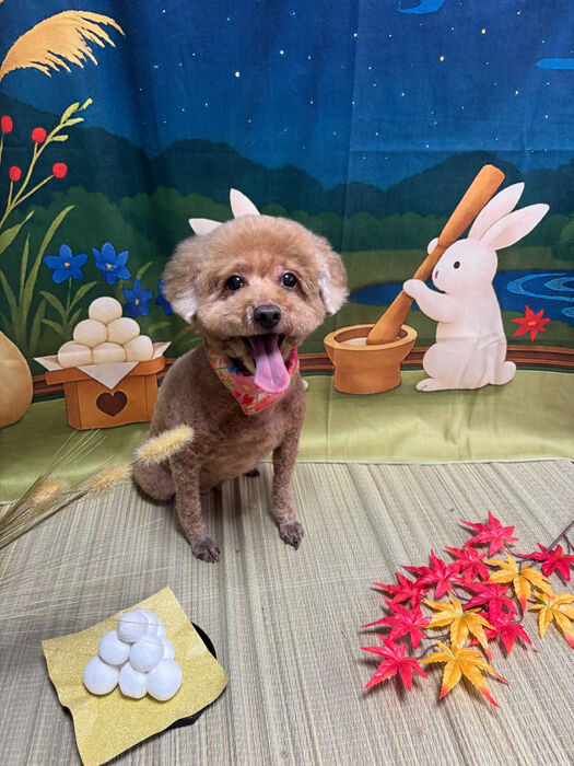 ブログ画像