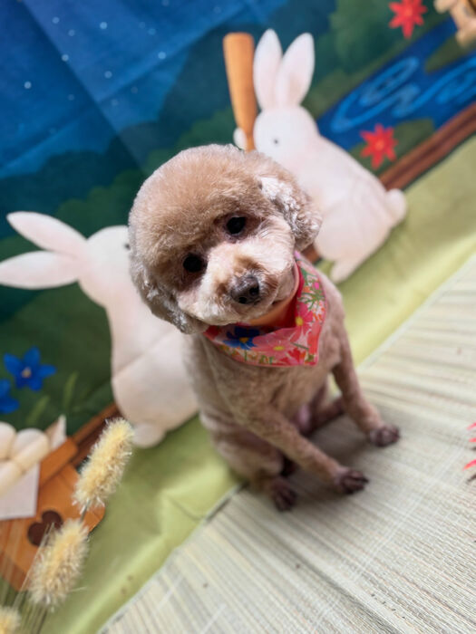 ブログ画像