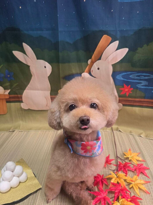 ブログ画像