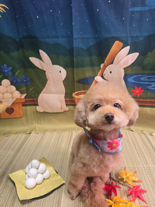 ブログ画像