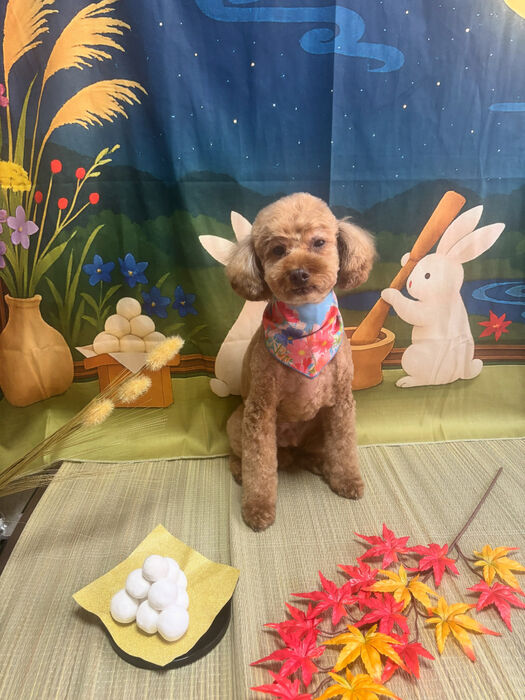ブログ画像