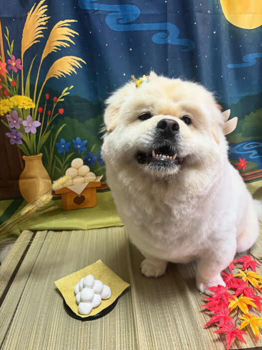 ブログ画像