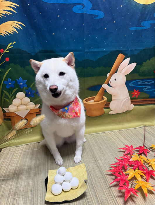 ブログ画像