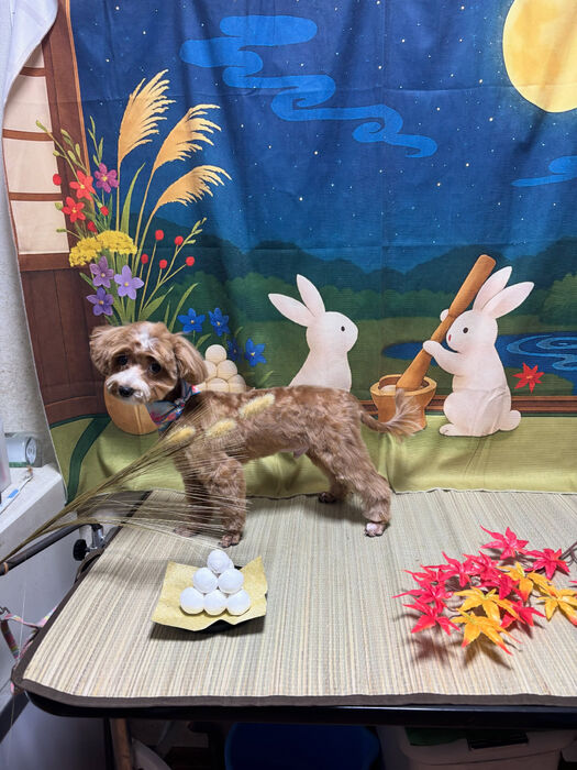 ブログ画像