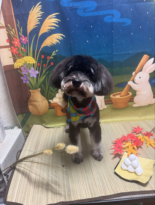ブログ画像