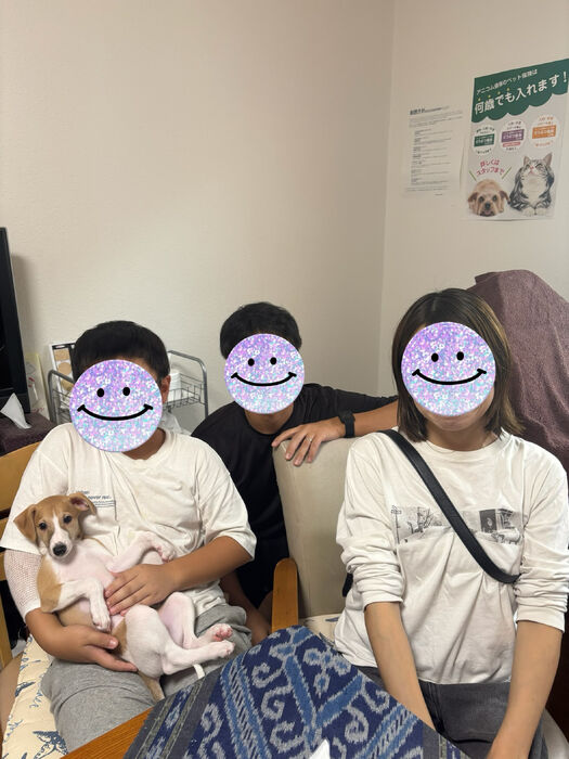 ブログ画像