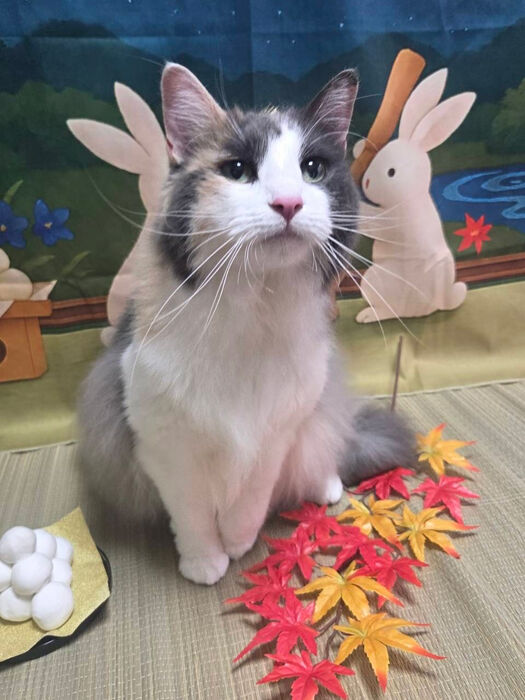 ブログ画像