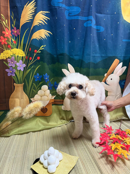 ブログ画像