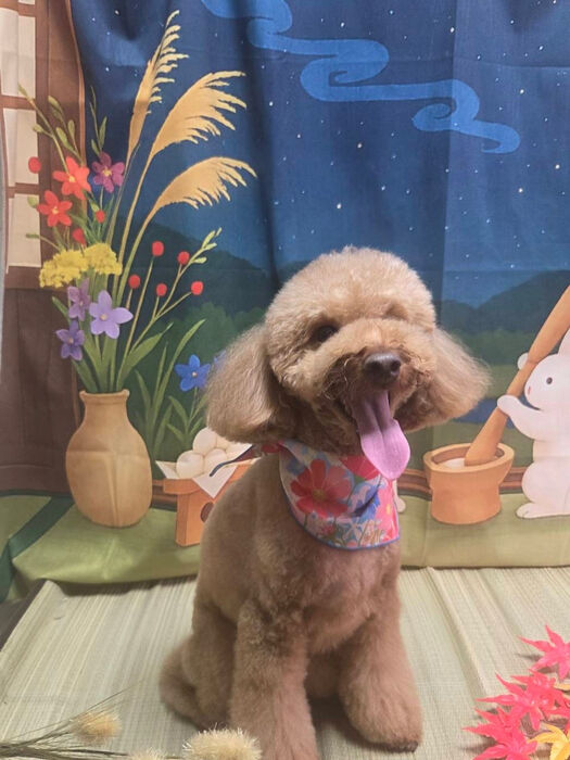 ブログ画像
