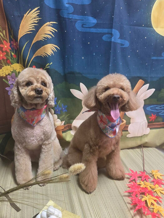 ブログ画像