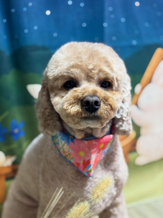 ブログ画像