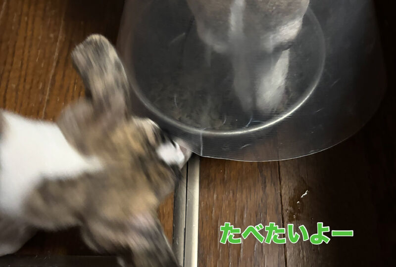 画像4284：埼玉｜狭山市
