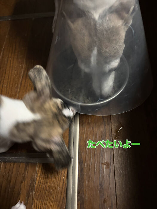 ブログ画像