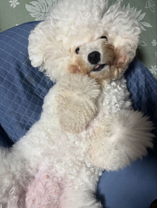 ブログ画像
