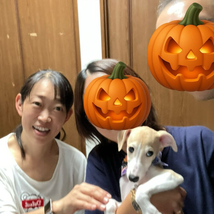 ブログ画像