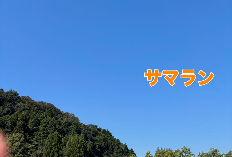 画像4351：埼玉｜狭山市
