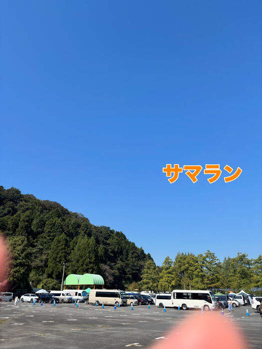 ブログ画像
