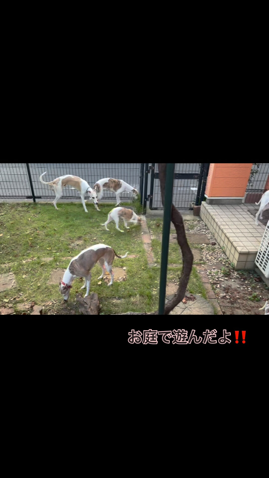埼玉｜狭山市