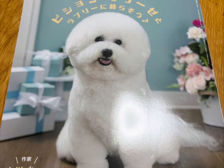 ブログ画像