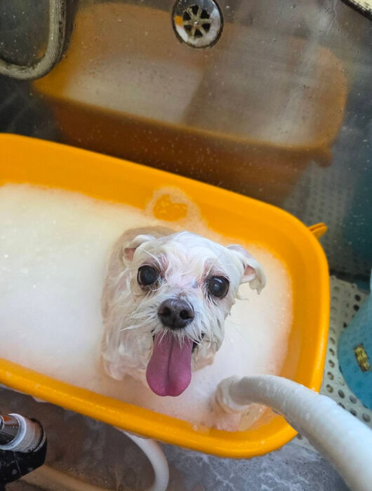 ブログ画像