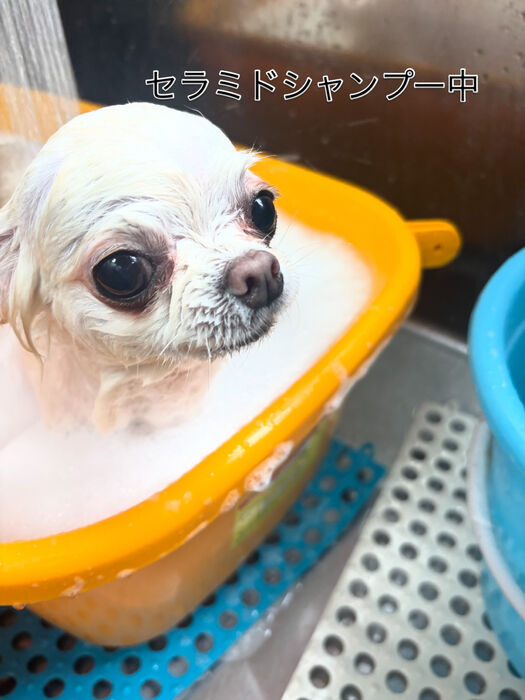 ブログ画像